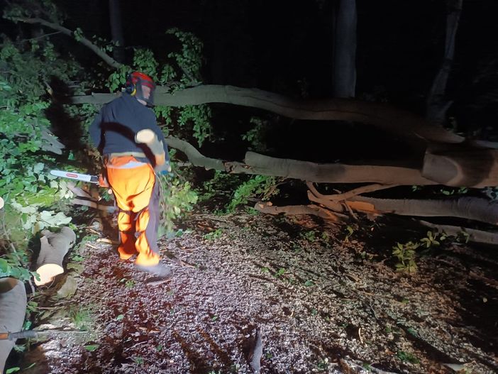 Pollone: Tromba d'aria in Burcina abbatte diversi grossi alberi. AIB al lavoro sino a notte inoltrata FOTO