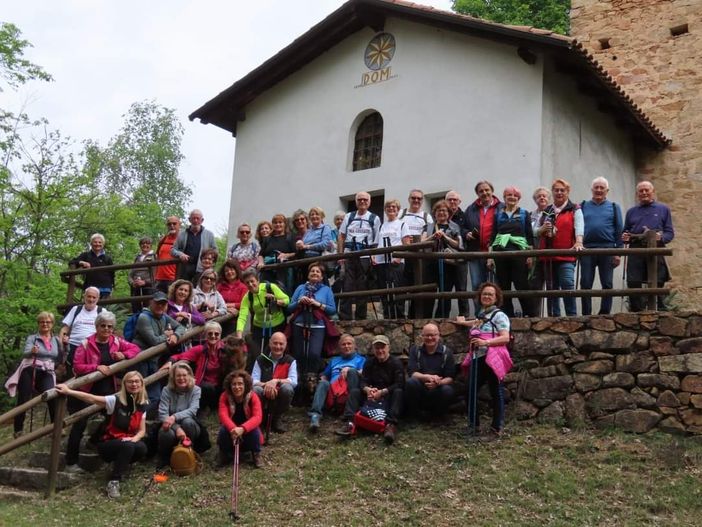 auser cossato auser cossato