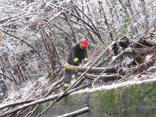Diversi interventi dei vigili del fuoco per la neve Diversi interventi dei vigili del fuoco per la neve