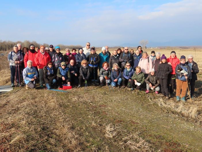 auser cossato auser cossato