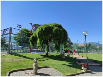 A settembre a I Faggi si riparte con tante novità! Venite a scoprirle! Vi aspettiamo!