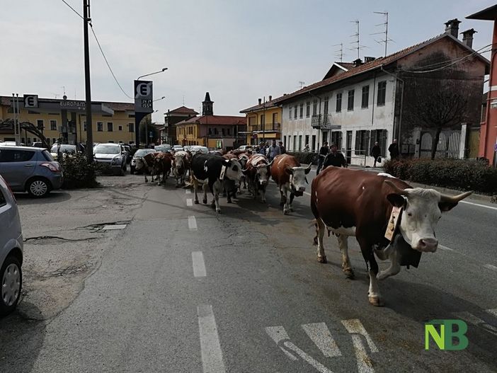 Foto di Gilberto Caon