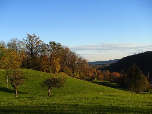 Alla scoperta del foliage tra la Riserva Naturale della Bessa, la Serra e la Valle Elvo