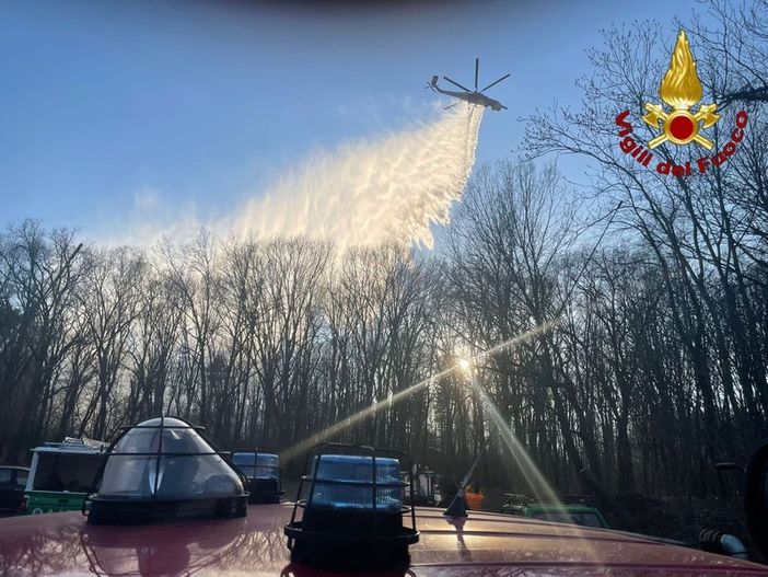 bosco brucia bosco brucia