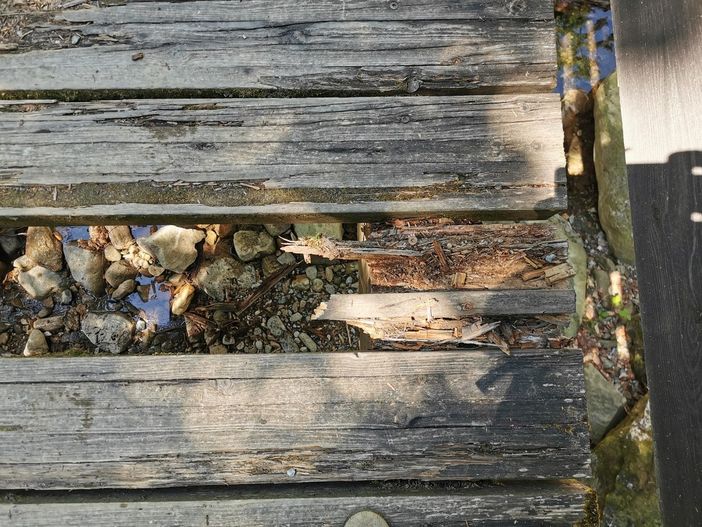 "Degrado biellese..." da un lettore