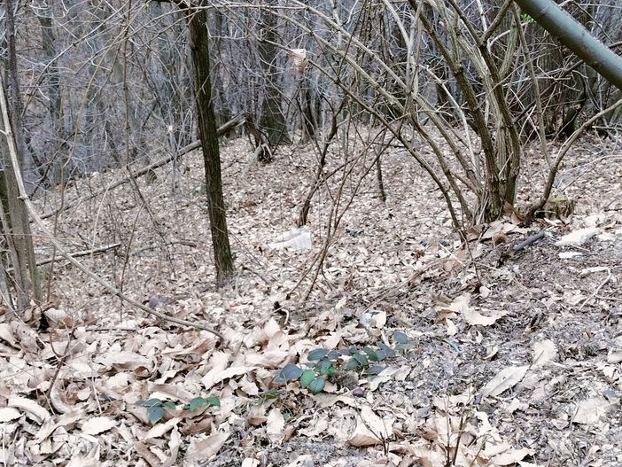 A Mezzana Mortigliengo c'è una discarica a cielo aperto