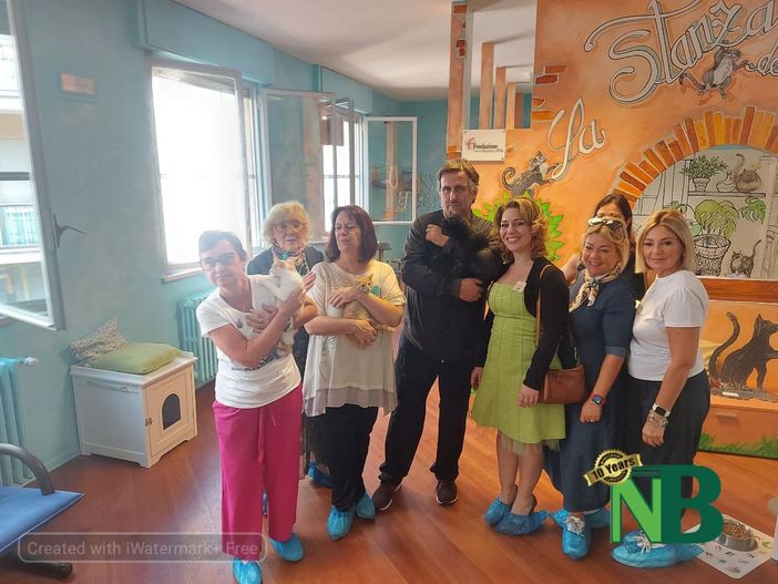 miciolandia miciolandia