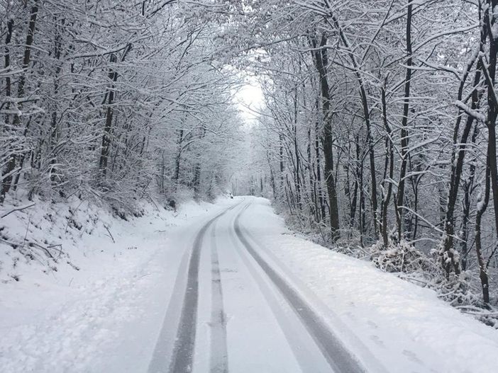 arpa piemonte