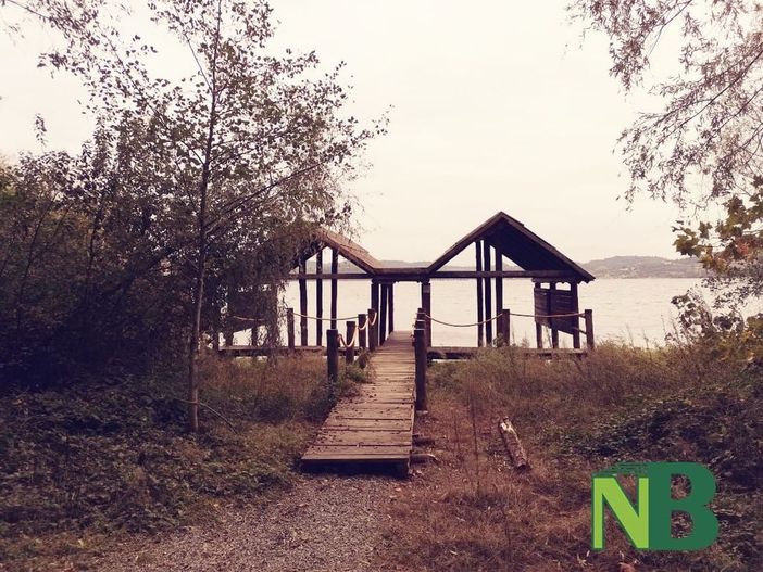 viverone palafitte viverone palafitte