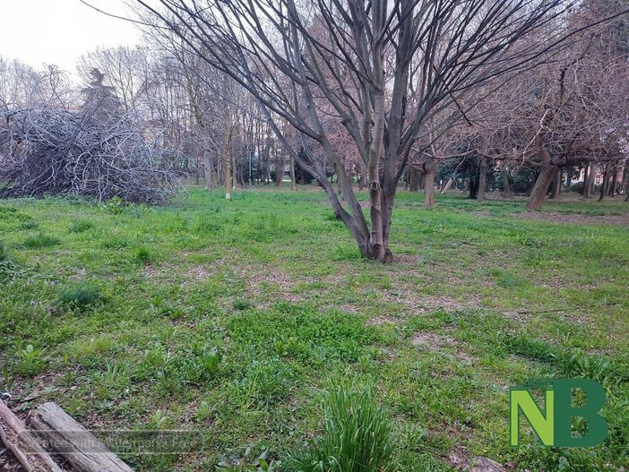 Biella, sicurezza e contrasto allo spaccio: recinzione e più illuminazione al Parco della Rovere, foto per newsbiella.it di Mattia Baù