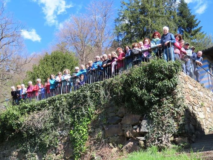 cossato auser cossato auser