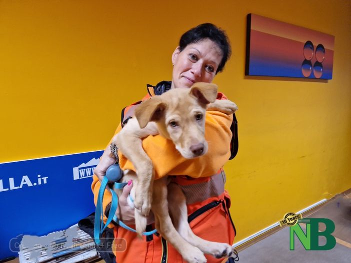 Sono sempre di più i Comuni che aderiscono al servizio di ambulanza veterinaria