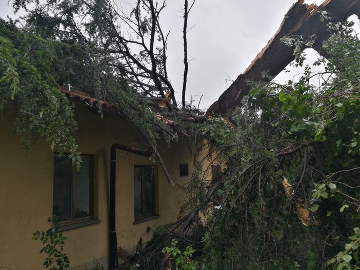 Foto Mauro Benedetti