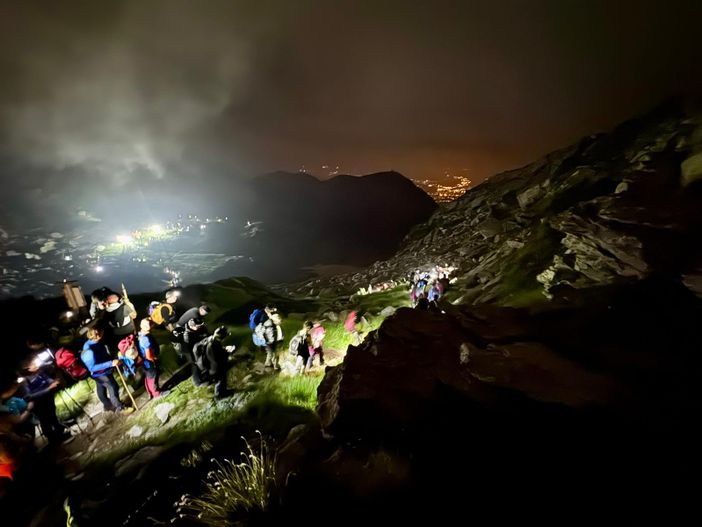 processione interviste