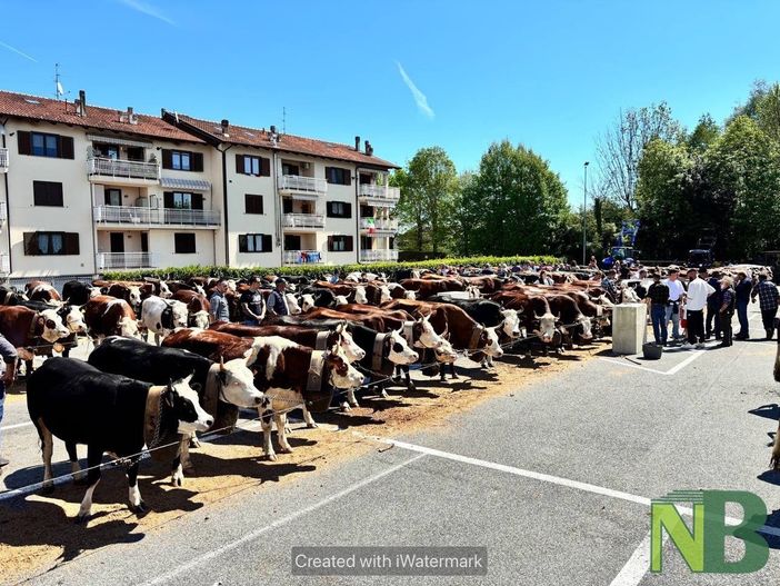 raduno pralungo raduno pralungo