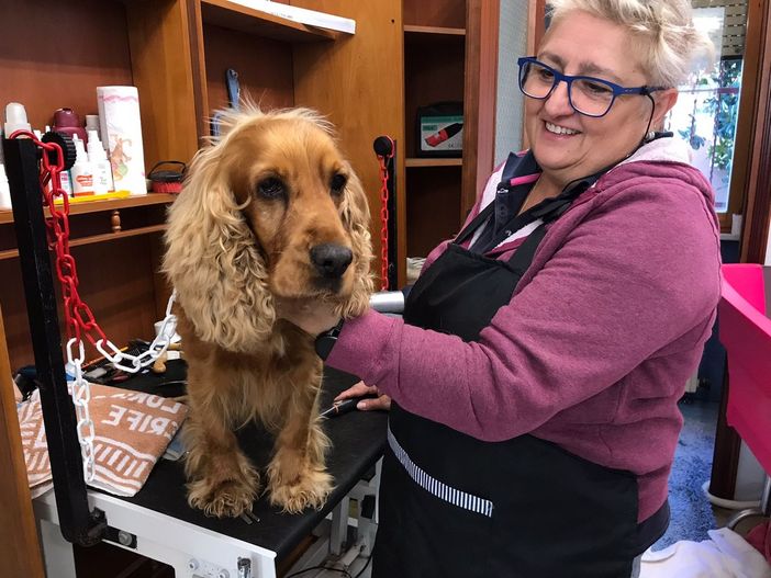 A Vigliano Biellese arriva “Scodinzoliamo”, il servizio di toelettatura nato dalla passione genuina di Cornelia Piscitelli