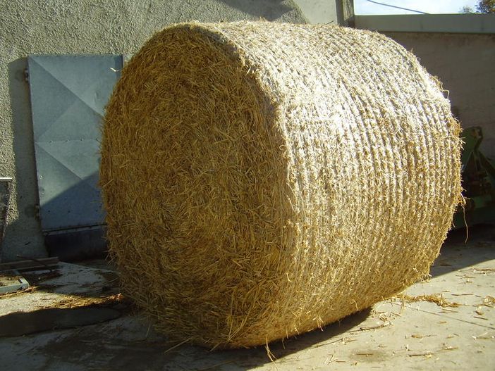 Salussola, rubata una rotoballa di fieno Salussola, rubata una rotoballa di fieno