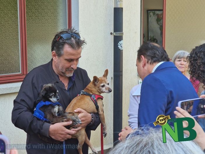 Punto Animal Friendly: A Biella l'assistente sociale in aiuto dei padroni di animali che necessitano di cure