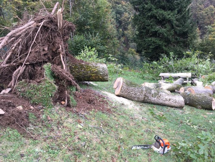Maltempo, prosegue il lavoro degli Aib per rimuovere le piante cadute FOTO Maltempo, prosegue il lavoro degli Aib per rimuovere le piante cadute FOTO