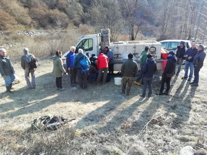 Riapre la riserva di pesca in Alta Valle Cervo, seminati avannotti e trote