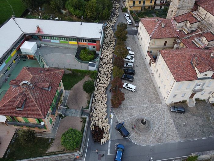 transumanza tavigliano transumanza tavigliano