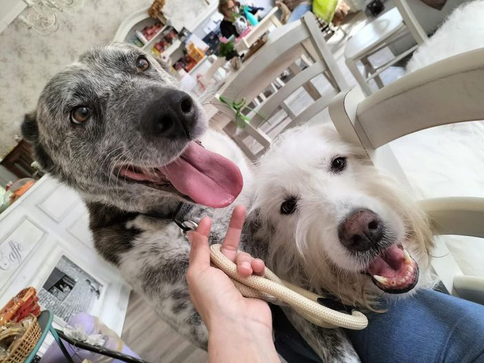 Siamo Marta ed Enea, possiamo raccontarti la nostra storia?