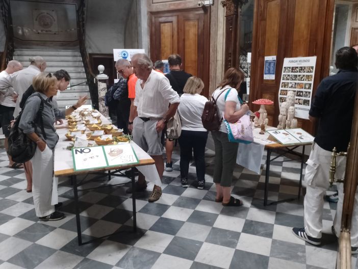 Il Gruppo Micologico Biellese a Varallo: due giorni dedicati al mondo dei funghi Il Gruppo Micologico Biellese a Varallo: due giorni dedicati al mondo dei funghi