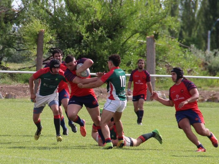 biella rugby