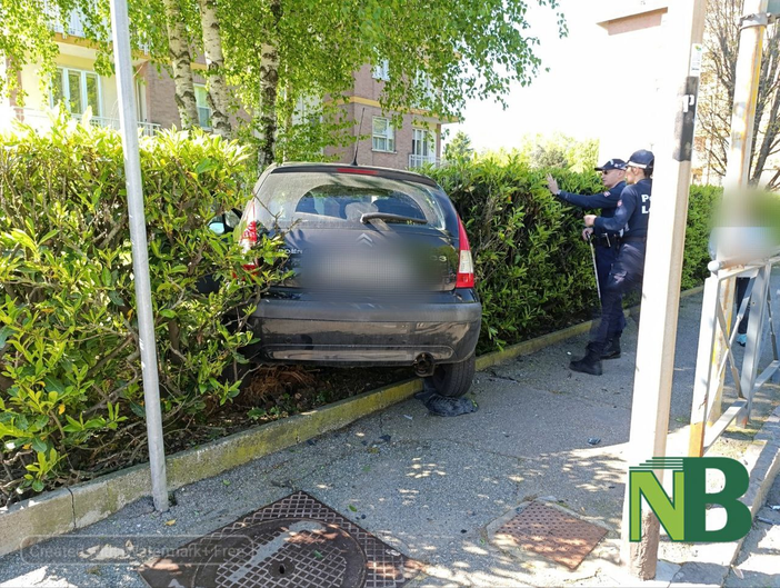 incidente siepe incidente siepe