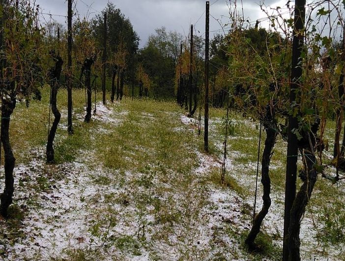 regione anti grandine regione anti grandine