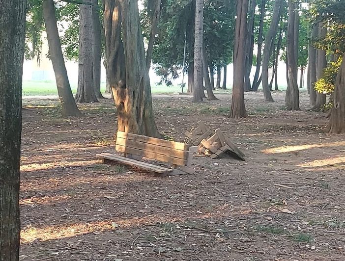 "Il parco della Rovere, un giardino più dimenticato di altri", una lettrice "Il parco della Rovere, un giardino più dimenticato di altri", una lettrice