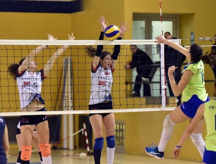 L'Angelico TeamVolley chiude seconda. Playoff contro Oleggio, Novi e Lingotto