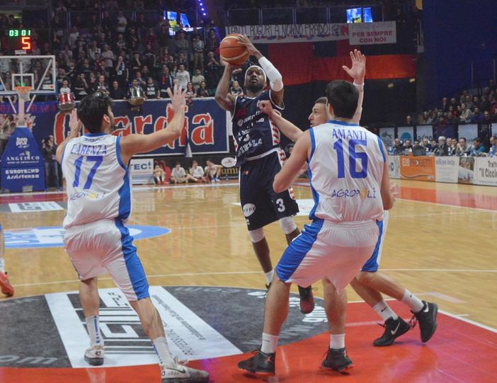 Basket: Al Forum Angelico Biella-Orsi Tortona, 2 punti per tentare la fuga Basket: Al Forum Angelico Biella-Orsi Tortona, 2 punti per tentare la fuga