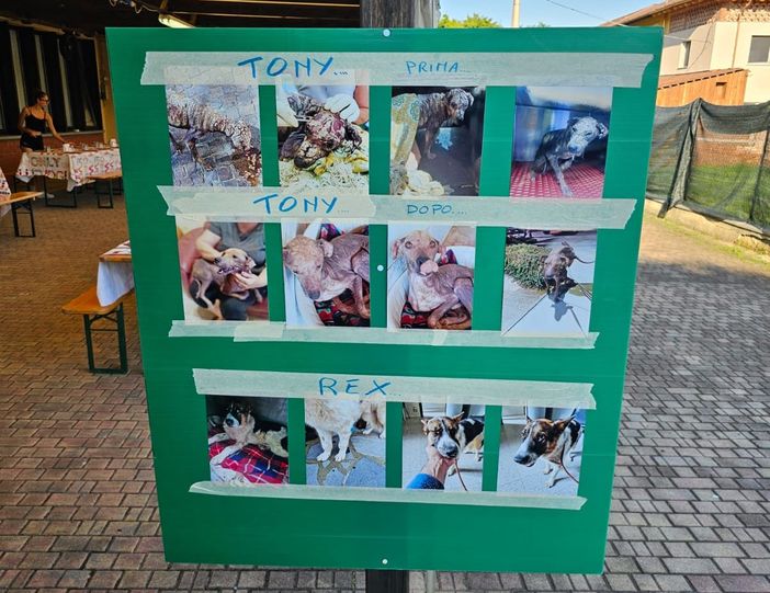 Una cena per Tony e Rex, il "grazie" di Scodinzolando con Flò