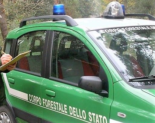 Pralungo, sorpreso a bruciare sterpaglie, 600 euro di multa Pralungo, sorpreso a bruciare sterpaglie, 600 euro di multa