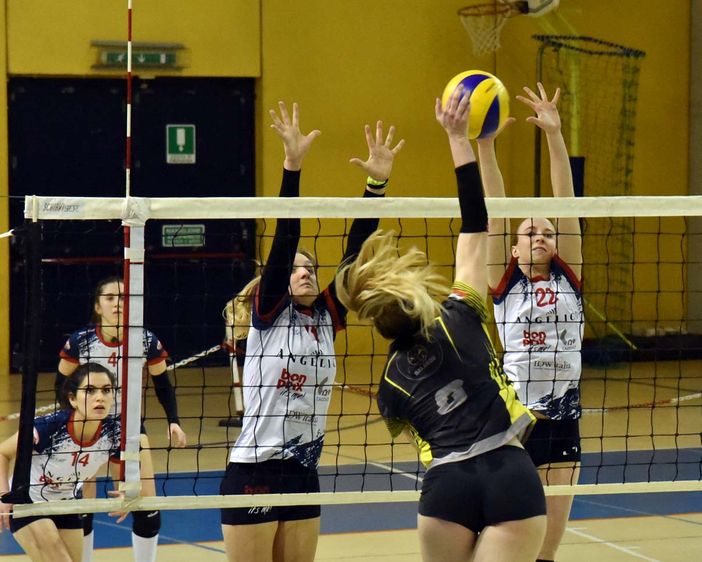 Bonprix TeamVolley cade ad Alba dopo nove vittorie consecutive Bonprix TeamVolley cade ad Alba dopo nove vittorie consecutive