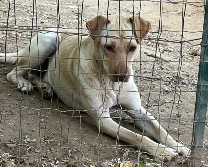 Incontri che ti cambiano la vita...lui è Gerom VIDEO