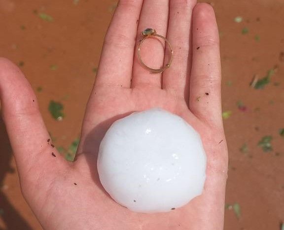 Grandinate in Piemonte, avviate le procedure per lo stato di calamità Grandinate in Piemonte, avviate le procedure per lo stato di calamità