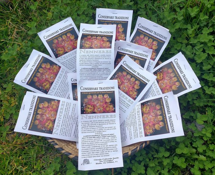 Nell’immagine, sacchetti di grano per fare “sos nenneres”