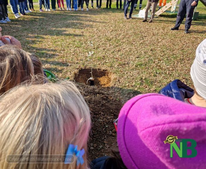 21 novembre, Giornata Nazionale dell'Albero, a Sandigliano messa a dimora una quercia