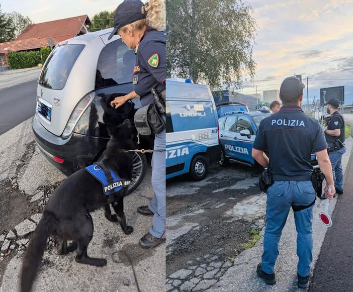 Polizia: movida sotto controllo, in servizio anche il cane antidroga Barack Polizia: movida sotto controllo, in servizio anche il cane antidroga Barack