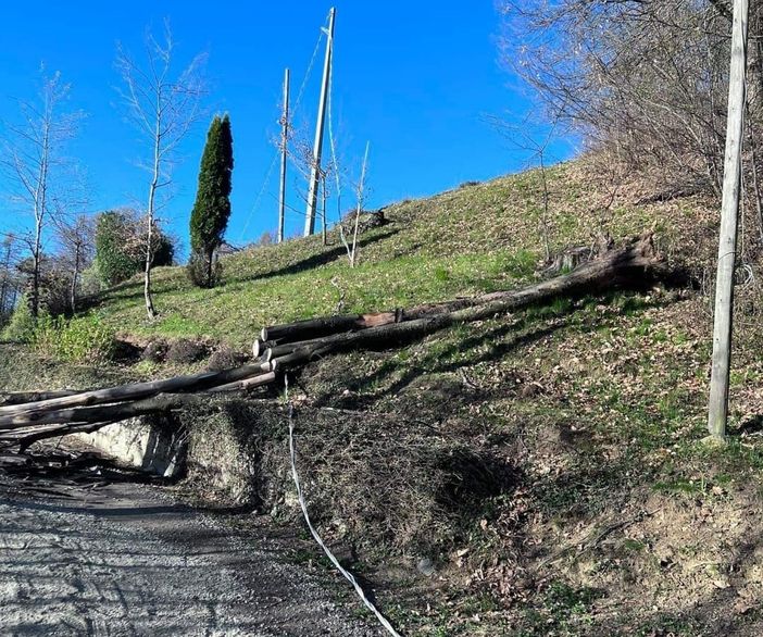 Forte vento, disagi a Tollegno