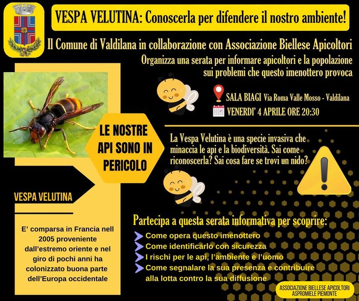 A Valdilana un incontro su api e vespa vellutina (foto dalla pagina Facebook di Comune di Valdilana)