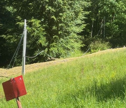 Campiglia Cervo, frazione Riabella senza internet da giorni: disagi per famiglie e smart working
