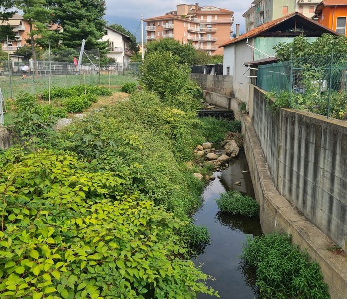 Occhieppo Inferiore: oltre 2 milioni di euro nella manutenzione degli alvei dei suoi corsi d'acqua