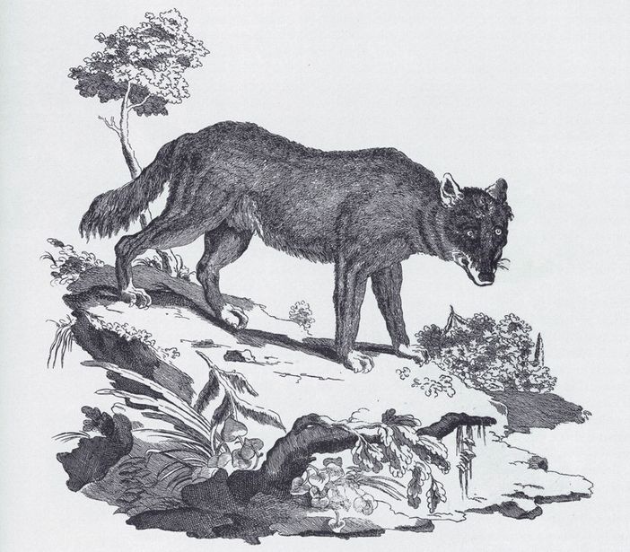 Il Biellese magico e misterioso: Al lago del Mucrone una strega malvagia trasformava in lupo i malcapitati che le capitavano a tiro