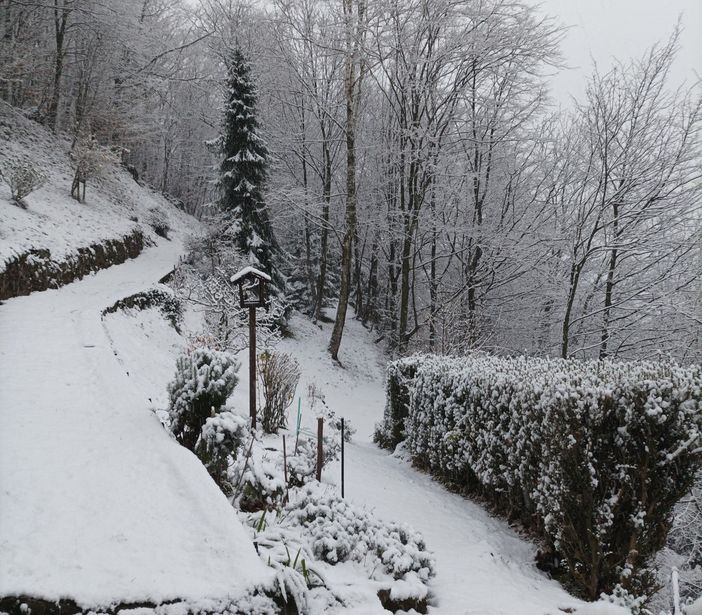La neve è arrivata anche a Sordevolo, foto Alessandra Ghirardelli