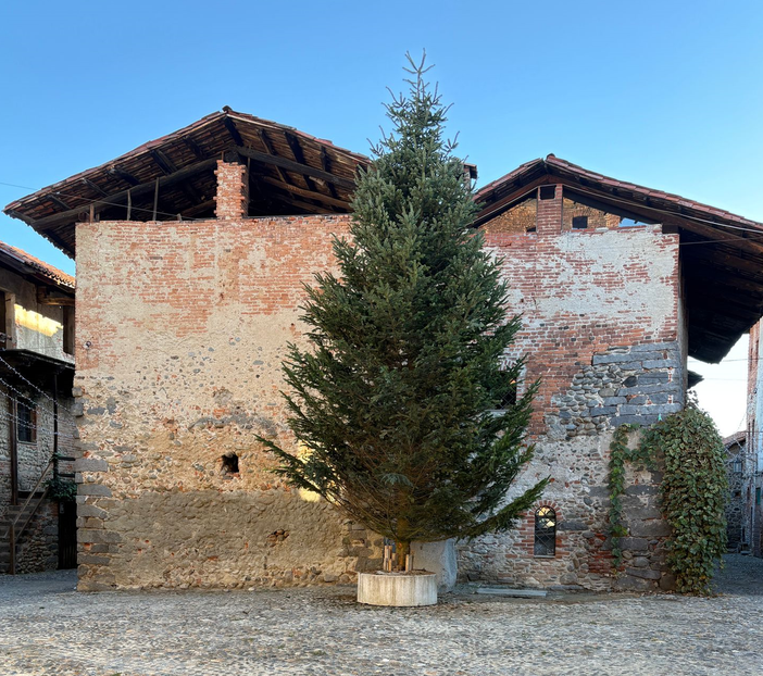 albero natale