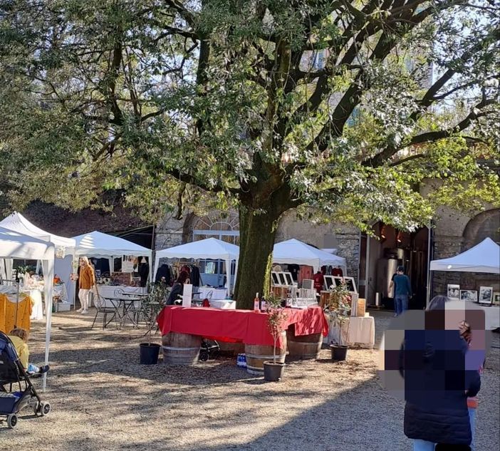 Biella, Gattopoli presenta il “Micioparty”.