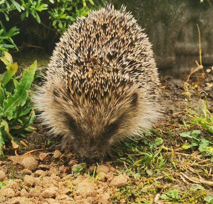 Foto e Video di Marianna Guardia